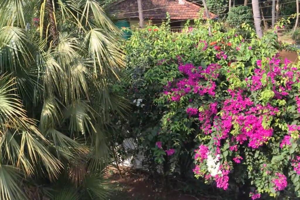 1 Bhk Luxury Beachside Homestay In South Goa Betalbatim Exterior foto